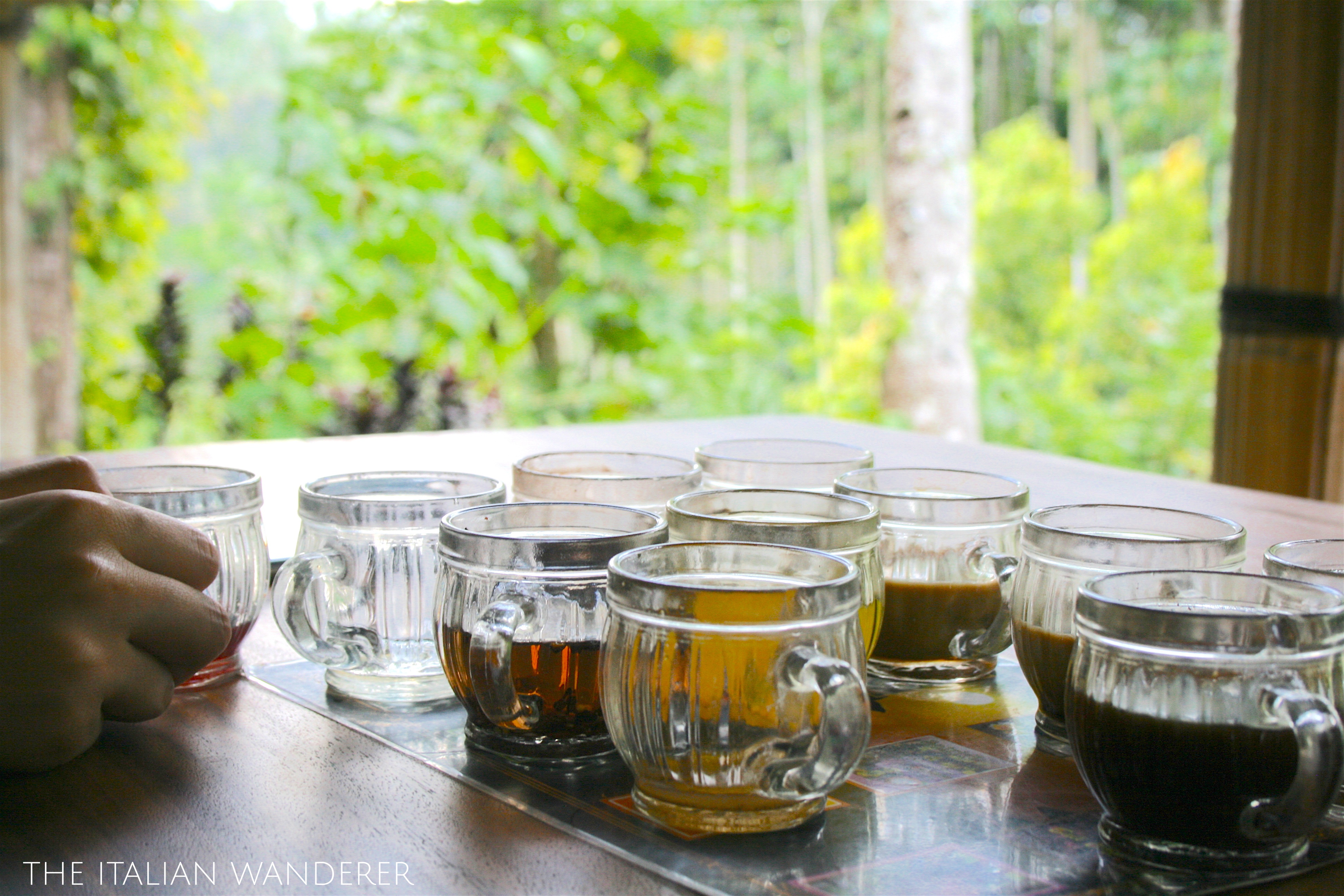 Satria Plantation Coffee and Tea tasting
